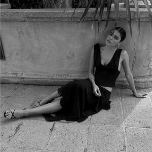 Lioness hacienda top